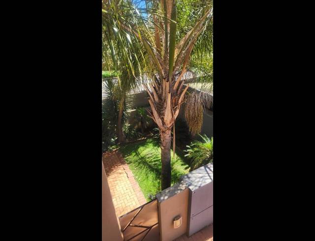 3 BEDROOM PROPERTY TO RENT IN HOUGHTON ESTATE